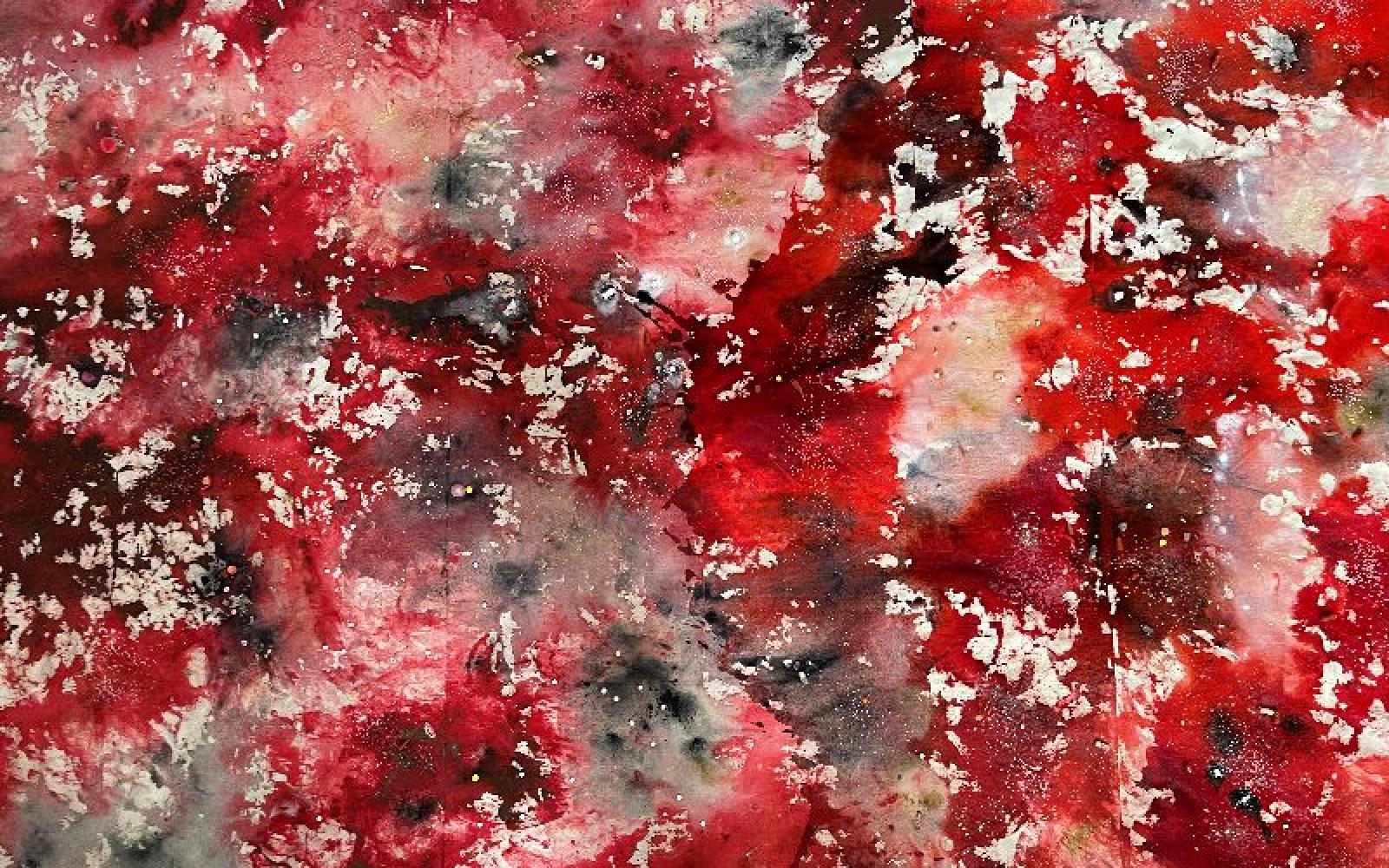 Women's Blood Cells II, 2023, medizinische Produkte,LW, 200 x 210 cm, fotocredit by the artist 