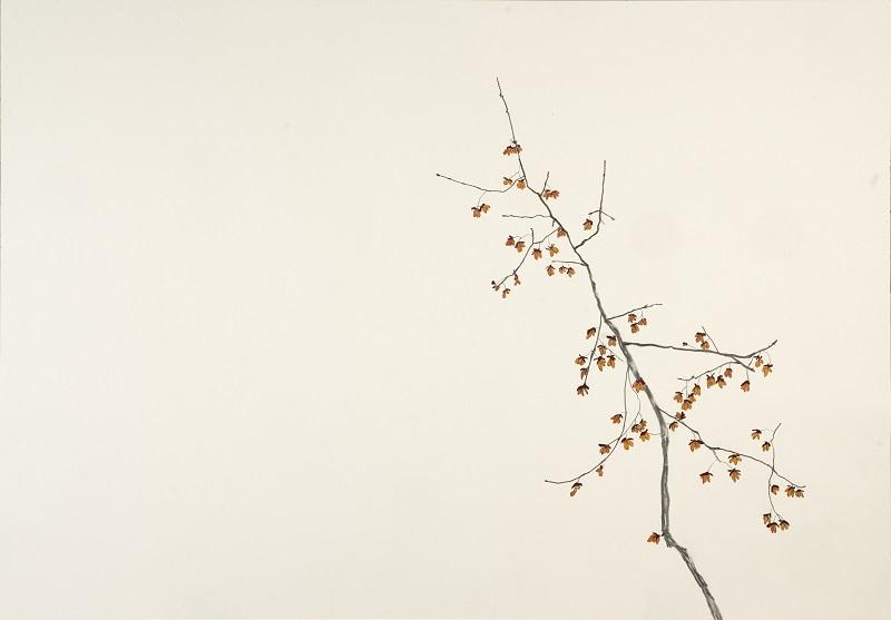 Edgar Honetschläger, twig 1, 2020, Graphit, Aquarell, 70 x 100 cm