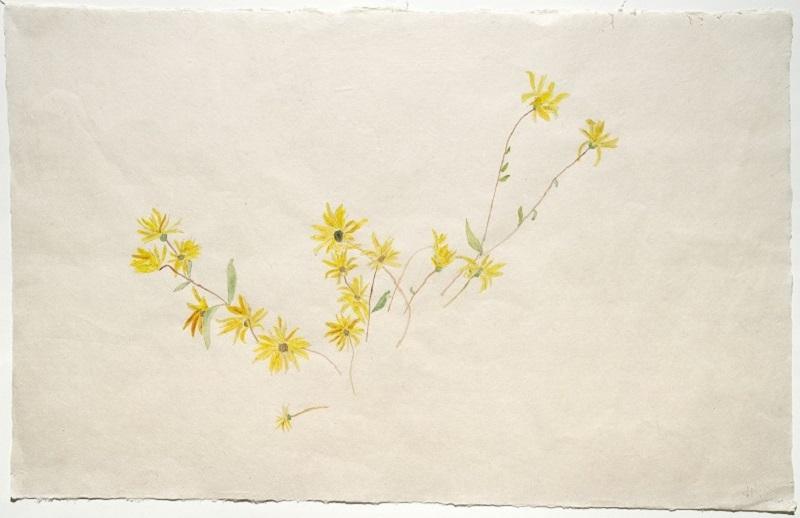 Edgar Honetschläger, summer, 2019, Graphit und Aquarell auf Japanpapier, 60 x 90 cm