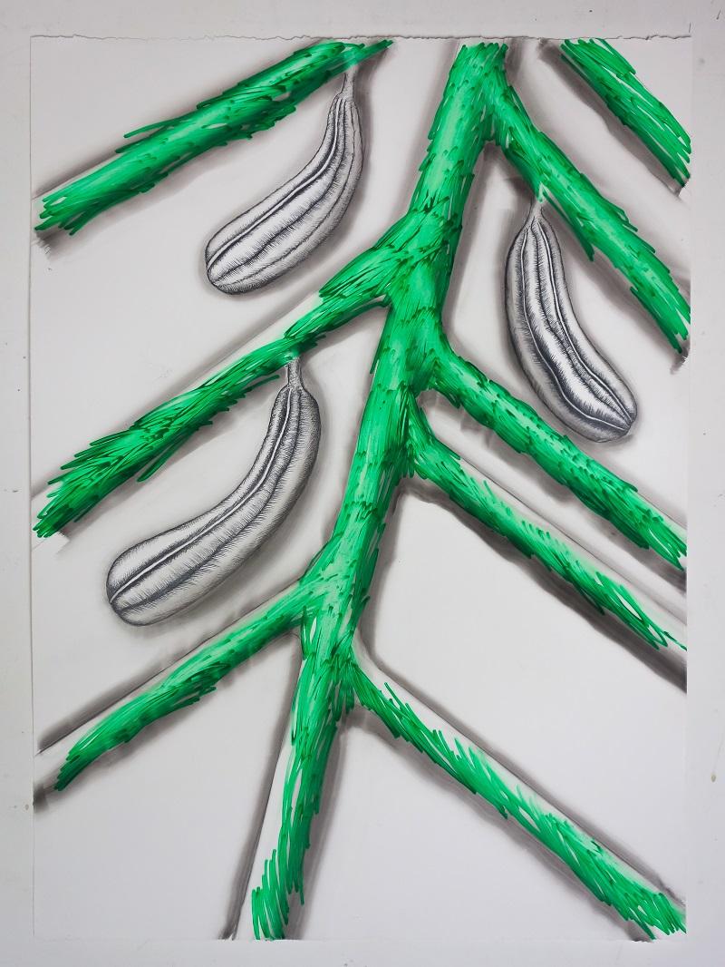Christian Schwarzwald, fruit 9, 2015, Acryl auf Papier, 56 x 76 cm © C. Schwarzwald, Bildrecht, 2025 Wien