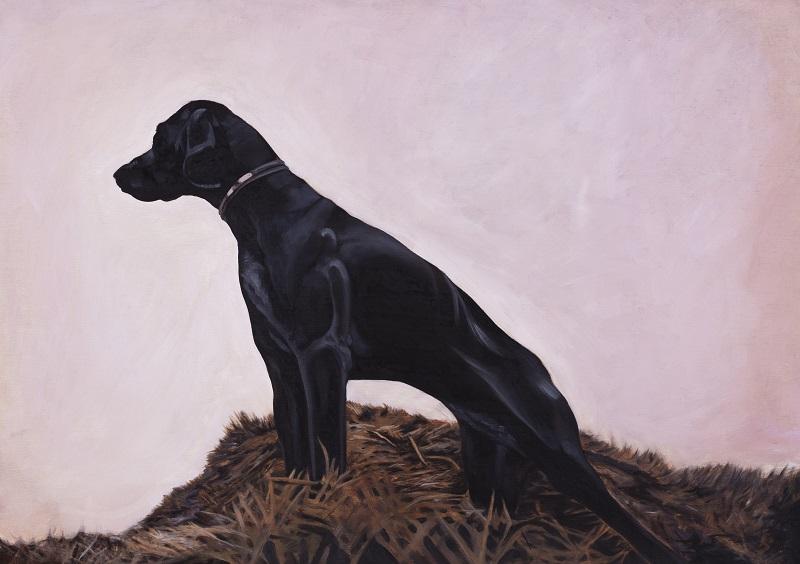 Laura Nitsche, Jagdhund, 2023, Öl auf Leinwand, 80 x 120 cm